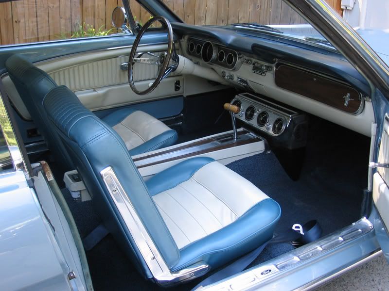 IMG_3368mustang64.jpg