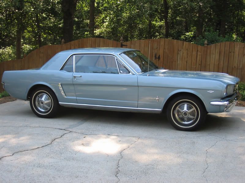 IMG_3371mustang64.jpg