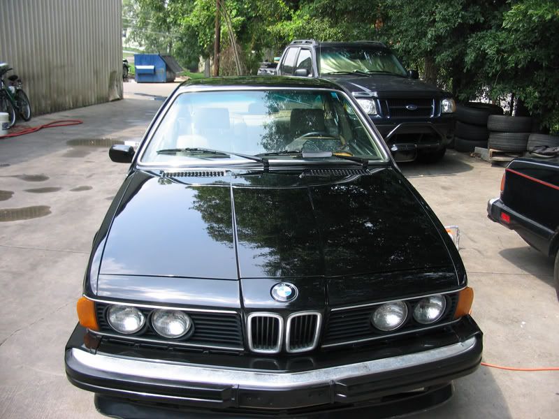 IMG_3419bmwL6.jpg