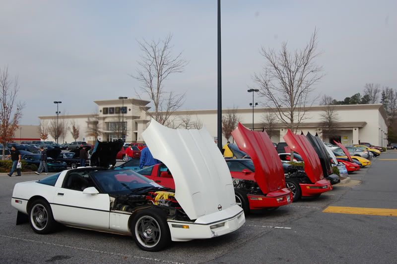 DSC_0107T4T.jpg