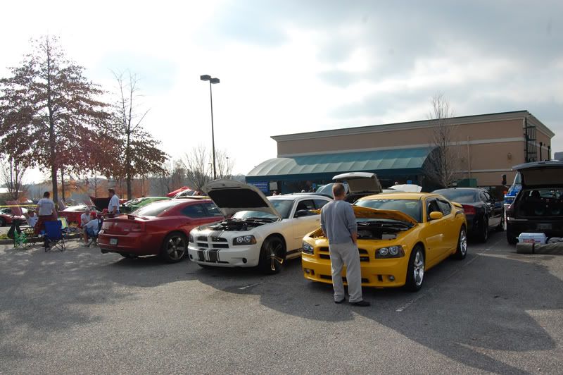 DSC_0121T4T.jpg