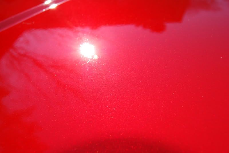 DSC_0242SRT8.jpg