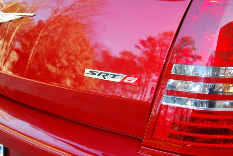 DSC_0248SRT8.jpg