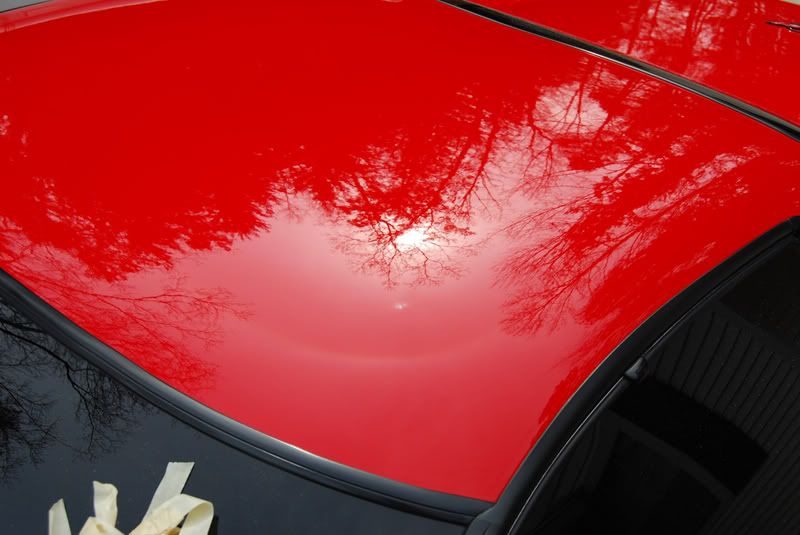 DSC_0288Zo6red.jpg