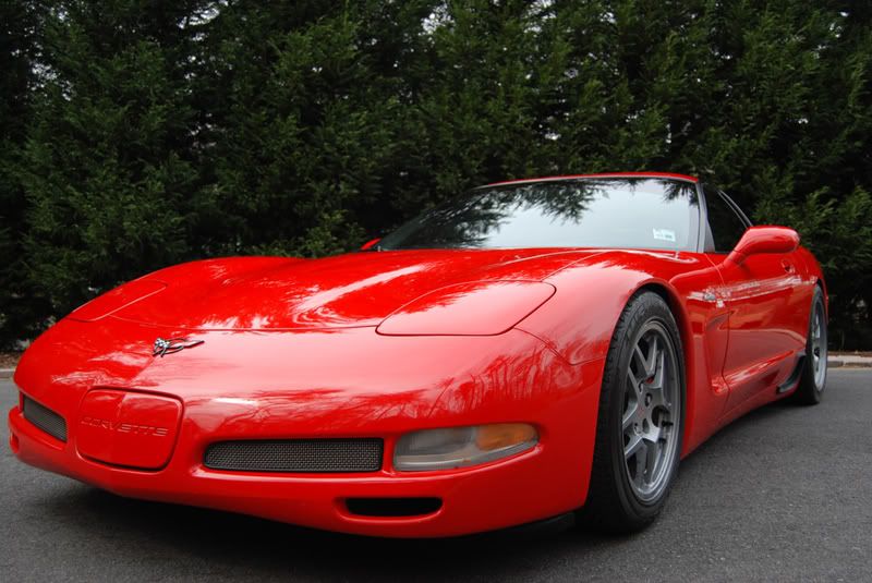 DSC_0302Z06red.jpg