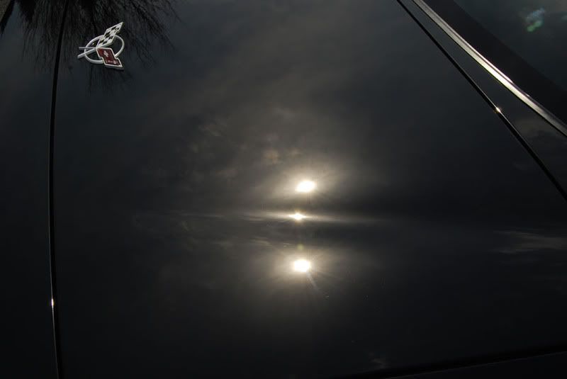 DSC_0337ZZo6.jpg