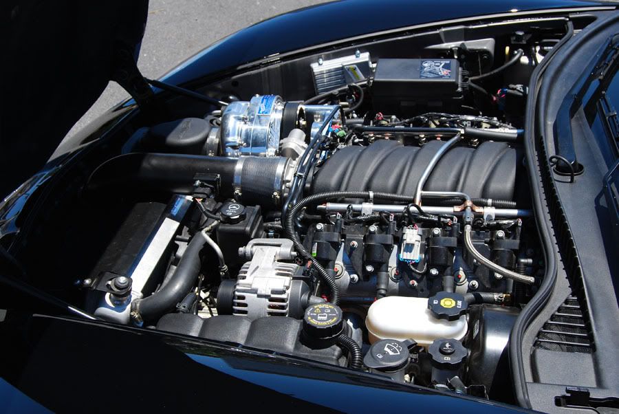 DSC_0574vette4541.jpg