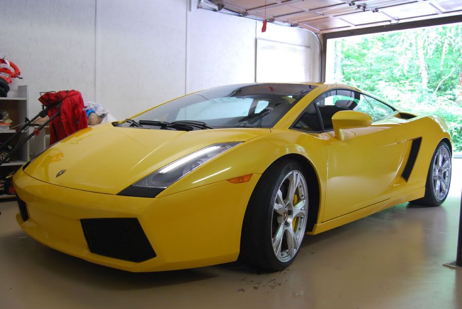 DSC_0876Lambo.jpg