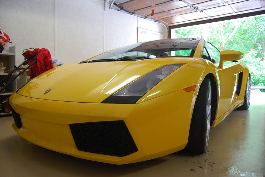 DSC_0888Lambo-1.jpg