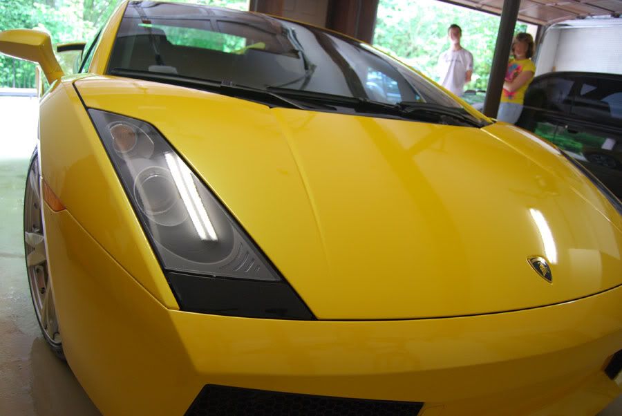 DSC_0889Lambo.jpg