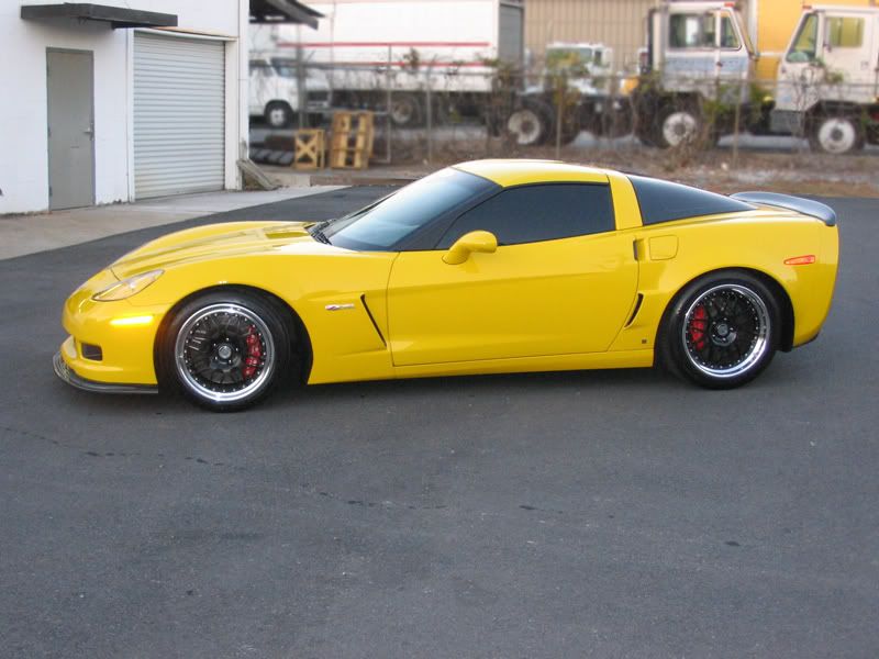 IMG_3876Z06yellow.jpg