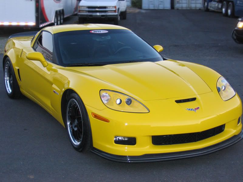IMG_3880Z06yellow.jpg