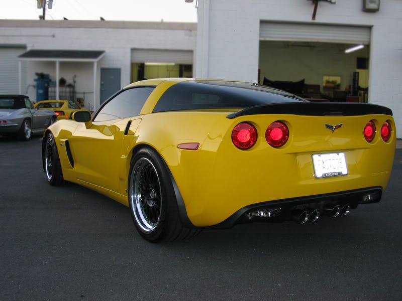 IMG_3884Z06yellow.jpg