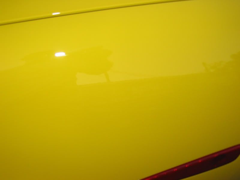 IMG_3885Z06yellow.jpg