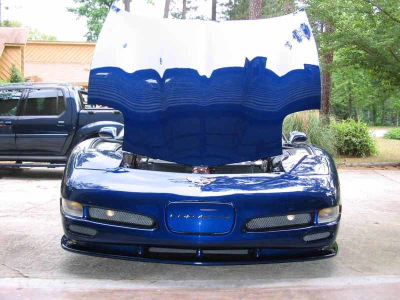 img_3320XMT180wax.jpg