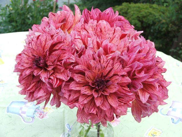 Photo Sharing and Video Hosting at Photobucket