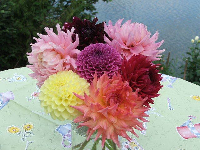 Photo Sharing and Video Hosting at Photobucket