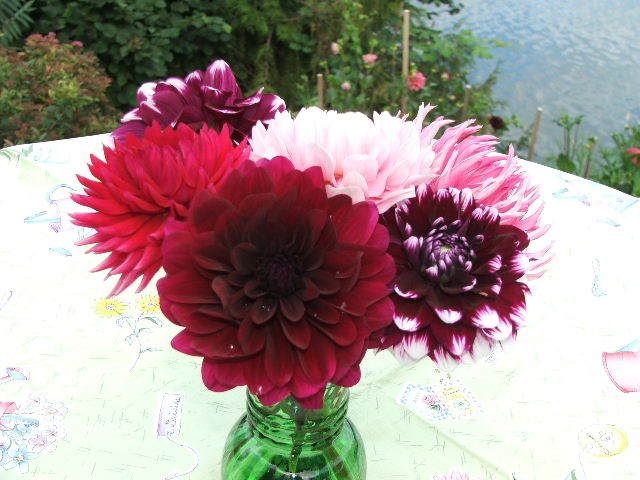 Photo Sharing and Video Hosting at Photobucket