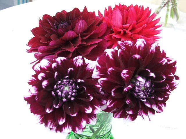 Photo Sharing and Video Hosting at Photobucket