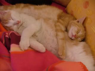 DSCF0045.jpg