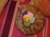 DSCF0162.jpg