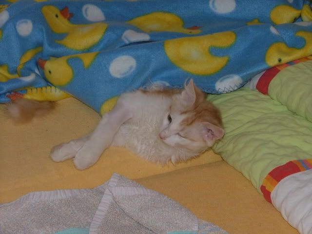 DSCF0190.jpg