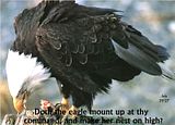 atthycommand.jpg Mount Up image by flyingeagle51