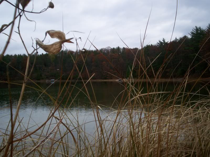 Arbutus Lake