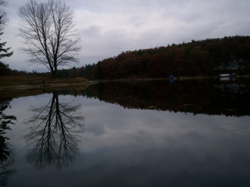 Arbutus Lake