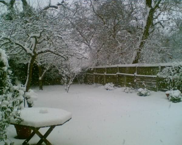snow1.jpg