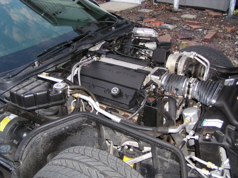 Wanted: picture of 1995 engine compartment - Corvette Forum
