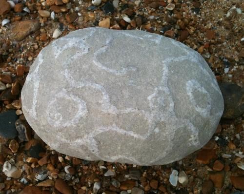 alien pebble/fossil