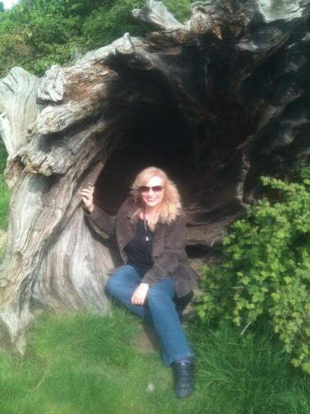 sitting in a tree trunk