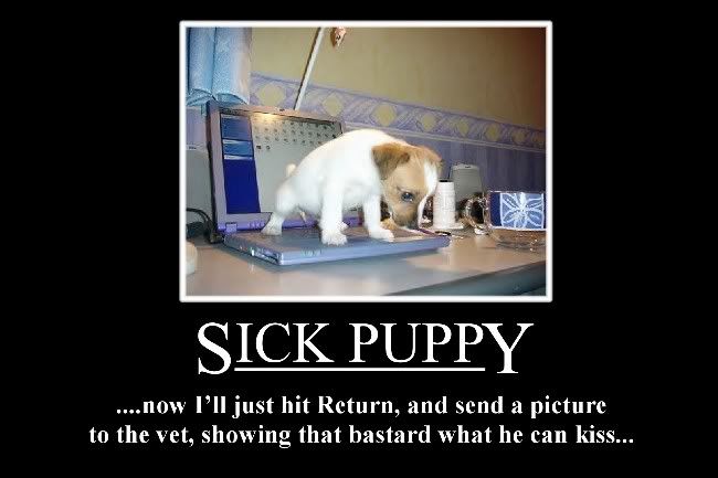 sick puppy motivational poster Pictures, Images and Photos