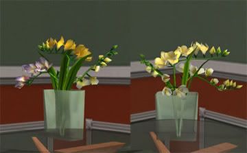 http://i101.photobucket.com/albums/m76/macarossi/Freesias2copy.jpg