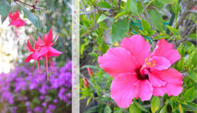 Garden1F