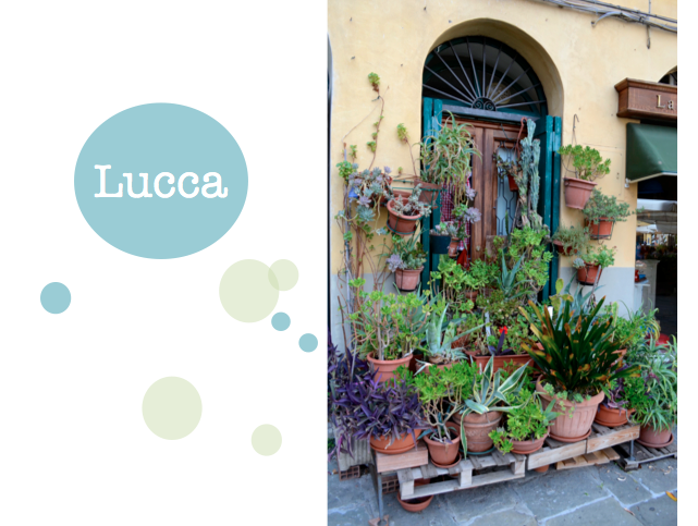 Lucca Italy Blog