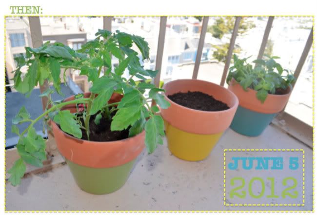 Plant1-3F