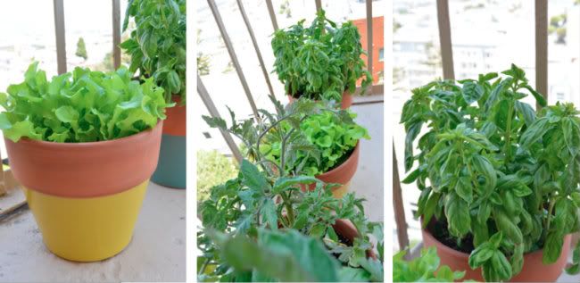 Plant3-1F