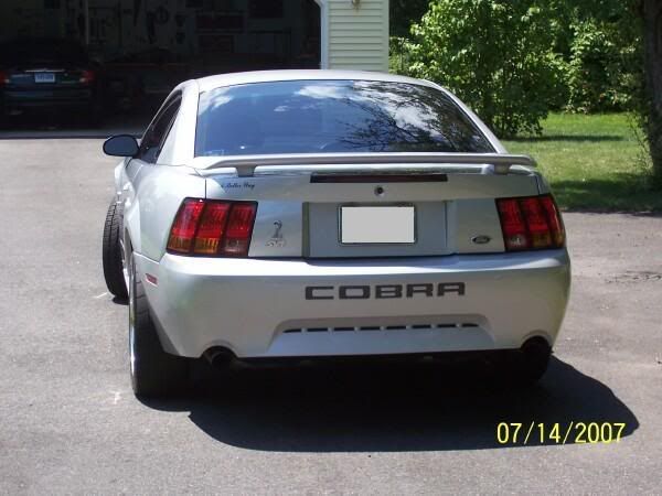 Mustang With Spacers