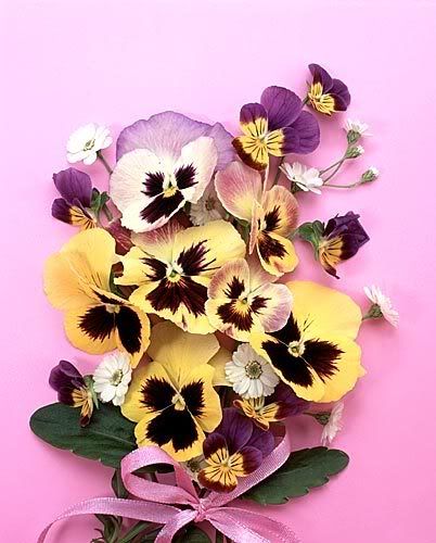 flower014.jpg