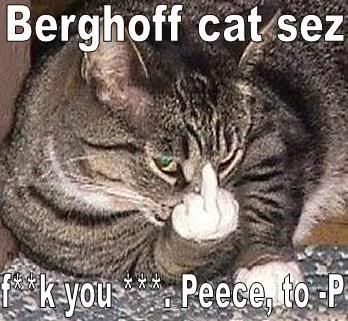 Berghoffcat.jpg