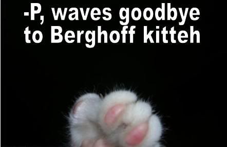 Berghoffcat3.jpg