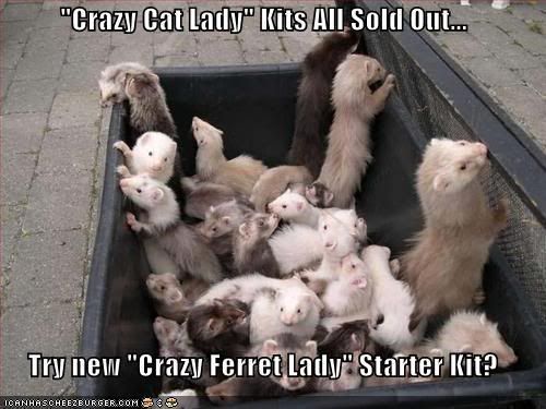 crazycatlady1286304206019739821.jpg