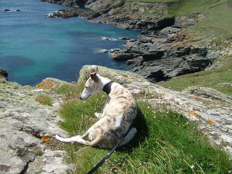 Cornwall020.jpg