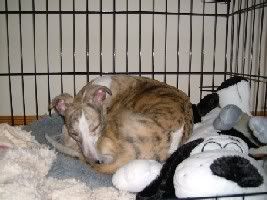 asleep.jpg