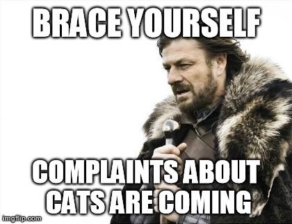 Meaw