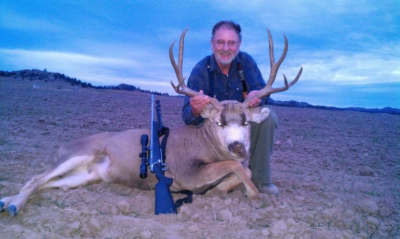 2011deer.jpg