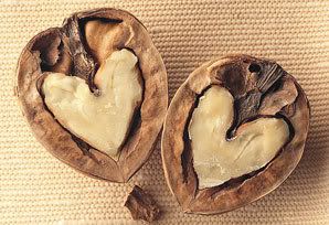 nut love Pictures, Images and Photos