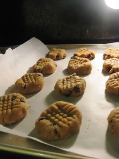 coookies 07